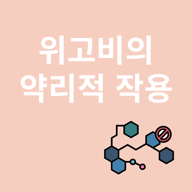 위고비와 관련된 이미지