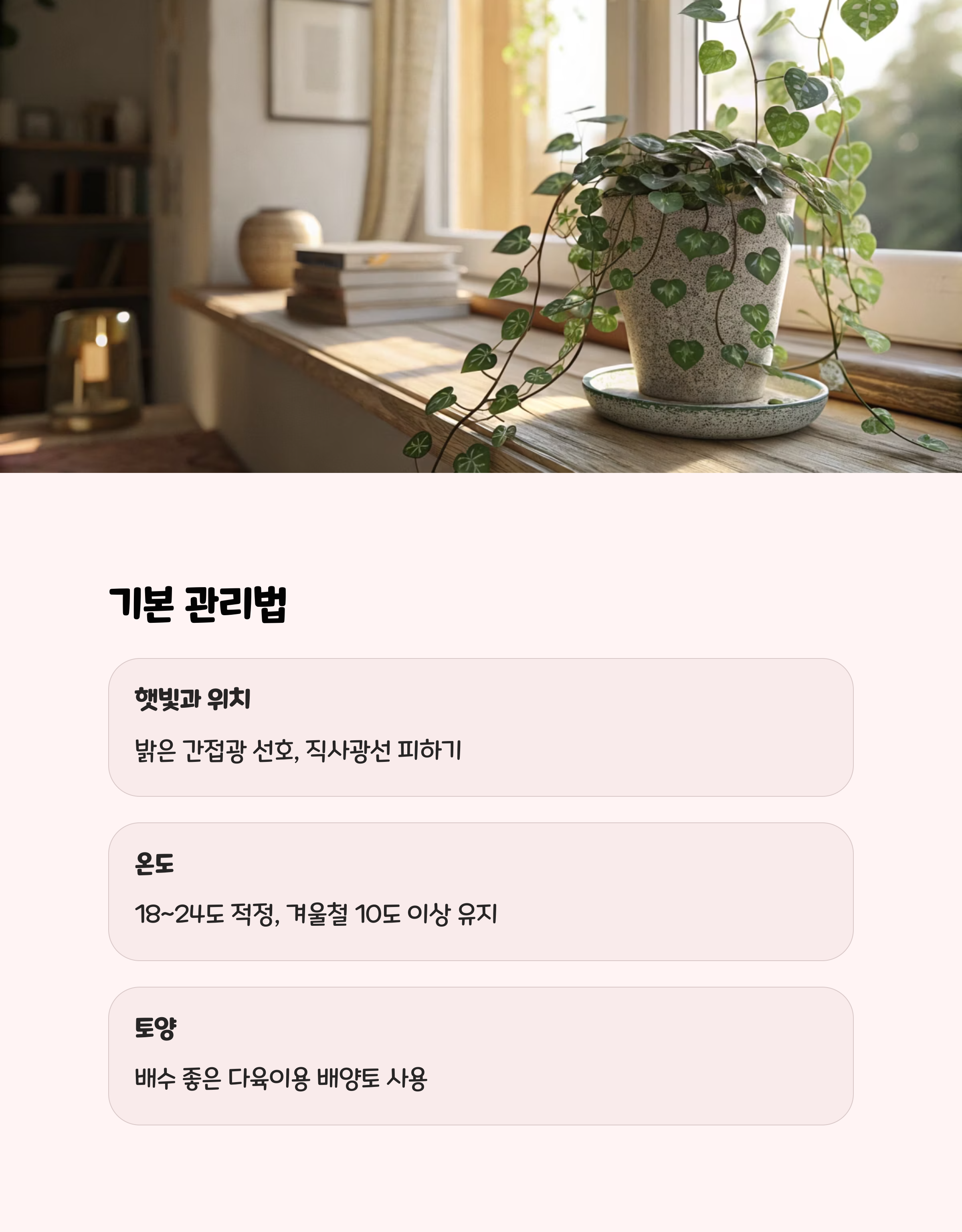 러브체인 키우는법