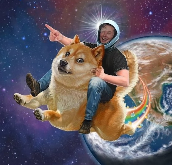 일론머스크 관련 주식 전망 테슬라 스페이스엑스 트위터