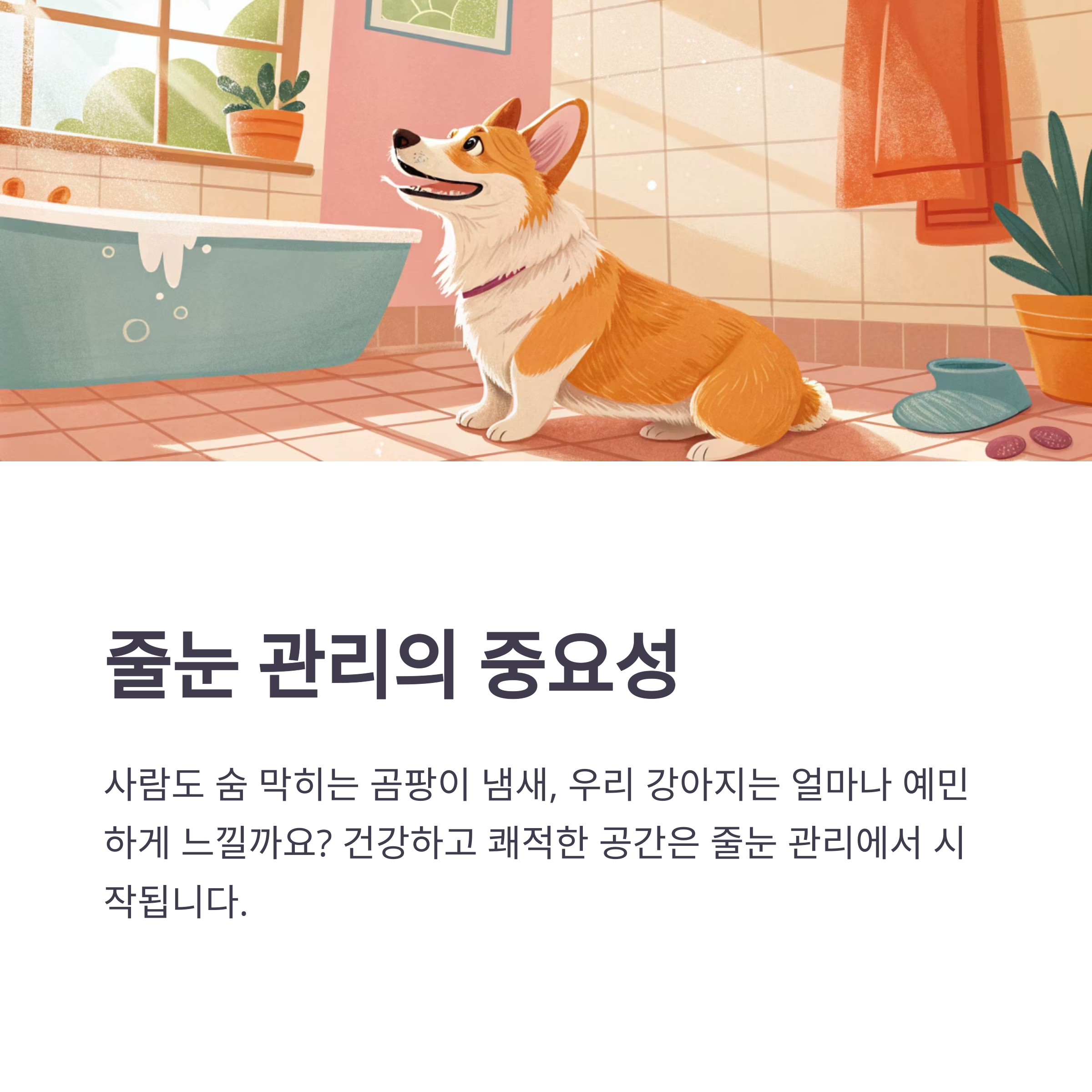 줄눈 곰팡이, 강아지 건강에도 해로울 수 있습니다