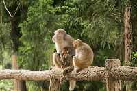 중국장가계여행 준비물