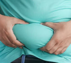 비만에 좋은 음식 영양제 식단