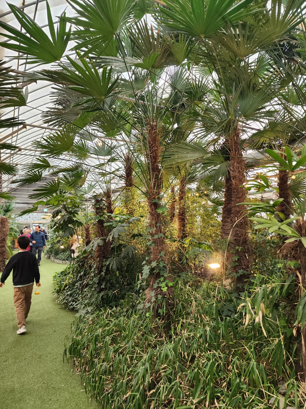 코코테로의 식물들