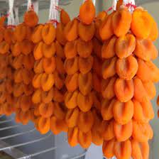 제8회 지리산함양 고종시곶감축제 소개(이찬원 김희재 출연)