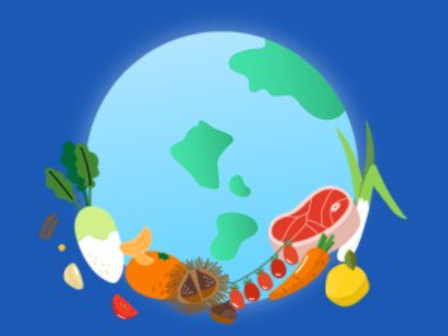 세계 식량의 날: 기아 문제 해결을 위한 우리의 작은 실천