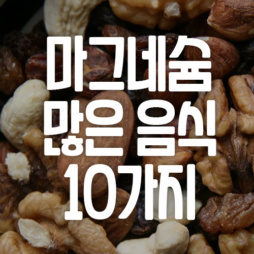 마그네슘 많은 음식