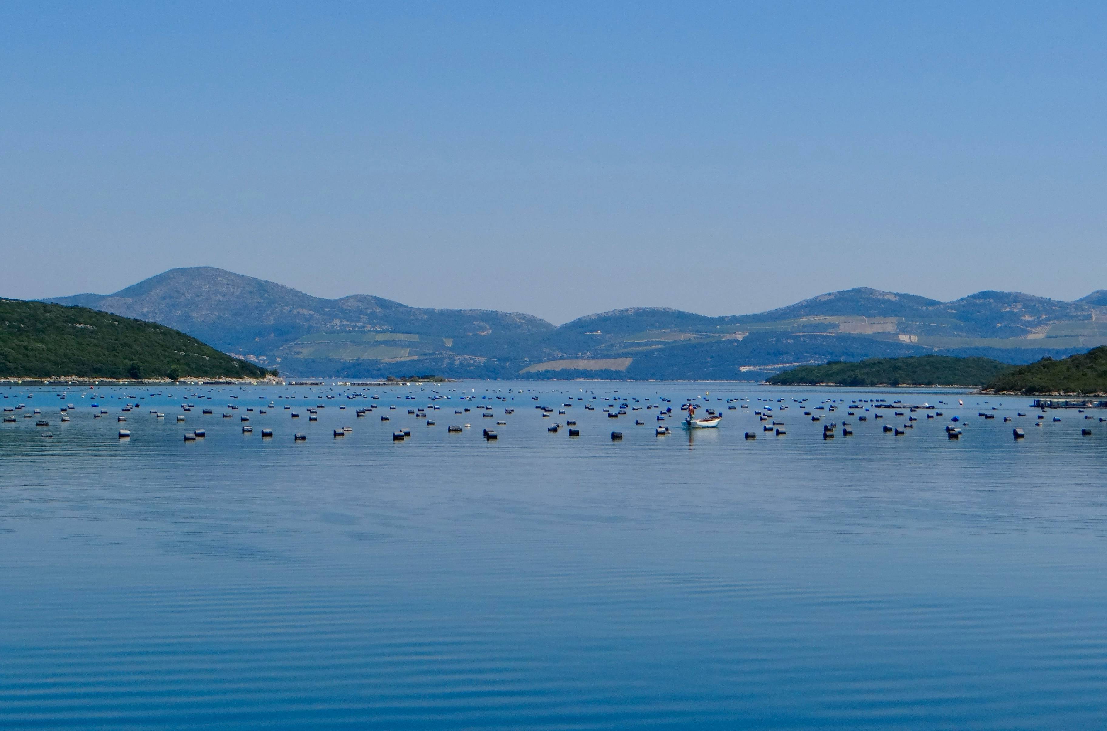 홍합 바다 이미지