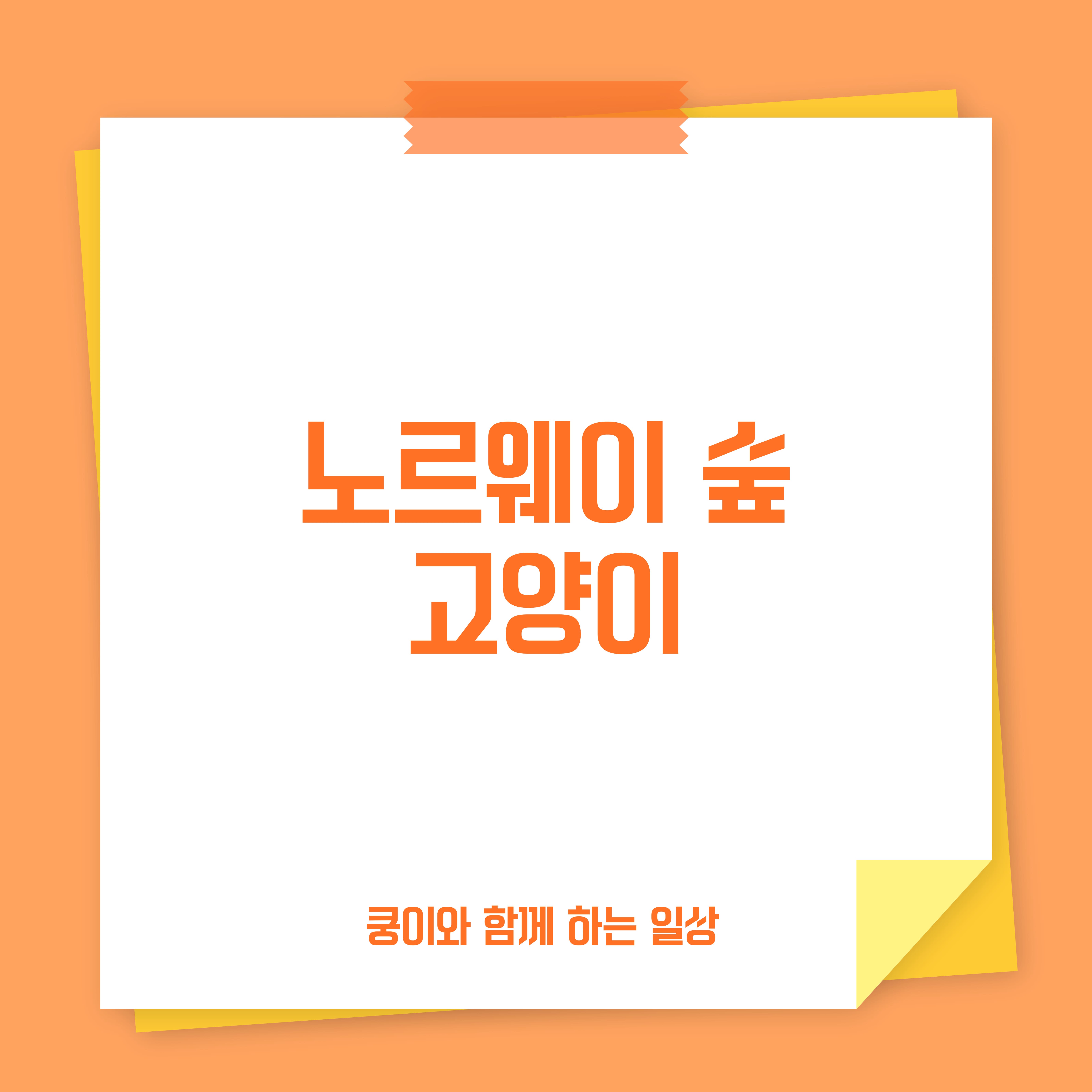 노르웨이 숲 고양이