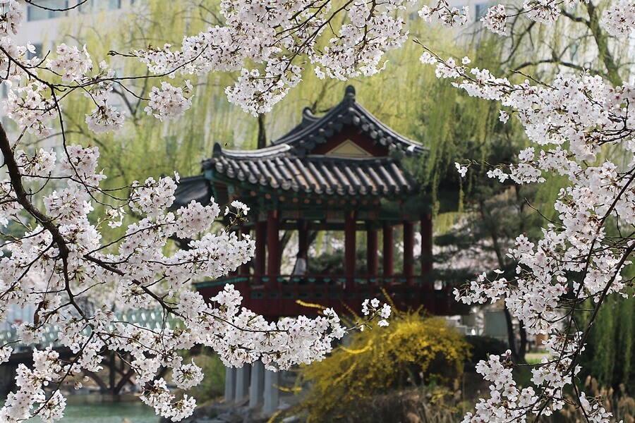 설봉공원 벚꽃 이천 안흥지 여주 벚꽃 포천 벚꽃 경기도 벚꽃 시기 경기도 광주 벚꽃 개화시기 경기도 벚꽃축제 경기도 벚꽃 글램핑 경기도 벚꽃캠핑 청평 캠핑장 당일치기 캠핑장 경기도 벚꽃 개화시기 충주 오토캠핑장 경기도 광주 벚꽃 어린이캠핑장 캠핑카 캠핑장 폐교 캠핑장 철원 캠핑장 동해 오토캠핑장 벚꽃축제진해 벚꽃관광 창원 벚꽃 명소 가을단풍명소 경주벚꽃펜션 진안마이산벚꽃 진해 벚꽃 여행 서울벚꽃호텔 내소사벚꽃 진해군항제벚꽃 경주 벚꽃 여행 영암 벚꽃 축제 영암벚꽃 국내벚꽃여행 경주벚꽃숙소 마이산벚꽃 하동 쌍계사 벚꽃 벚꽃구경