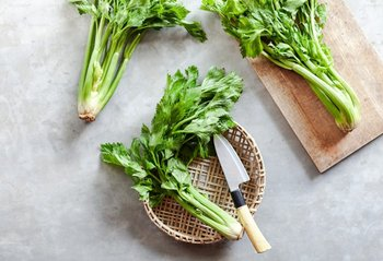 파슬리 효능 7가지