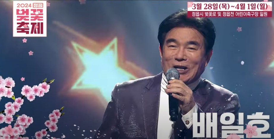 2024 정읍 벚꽃 축제