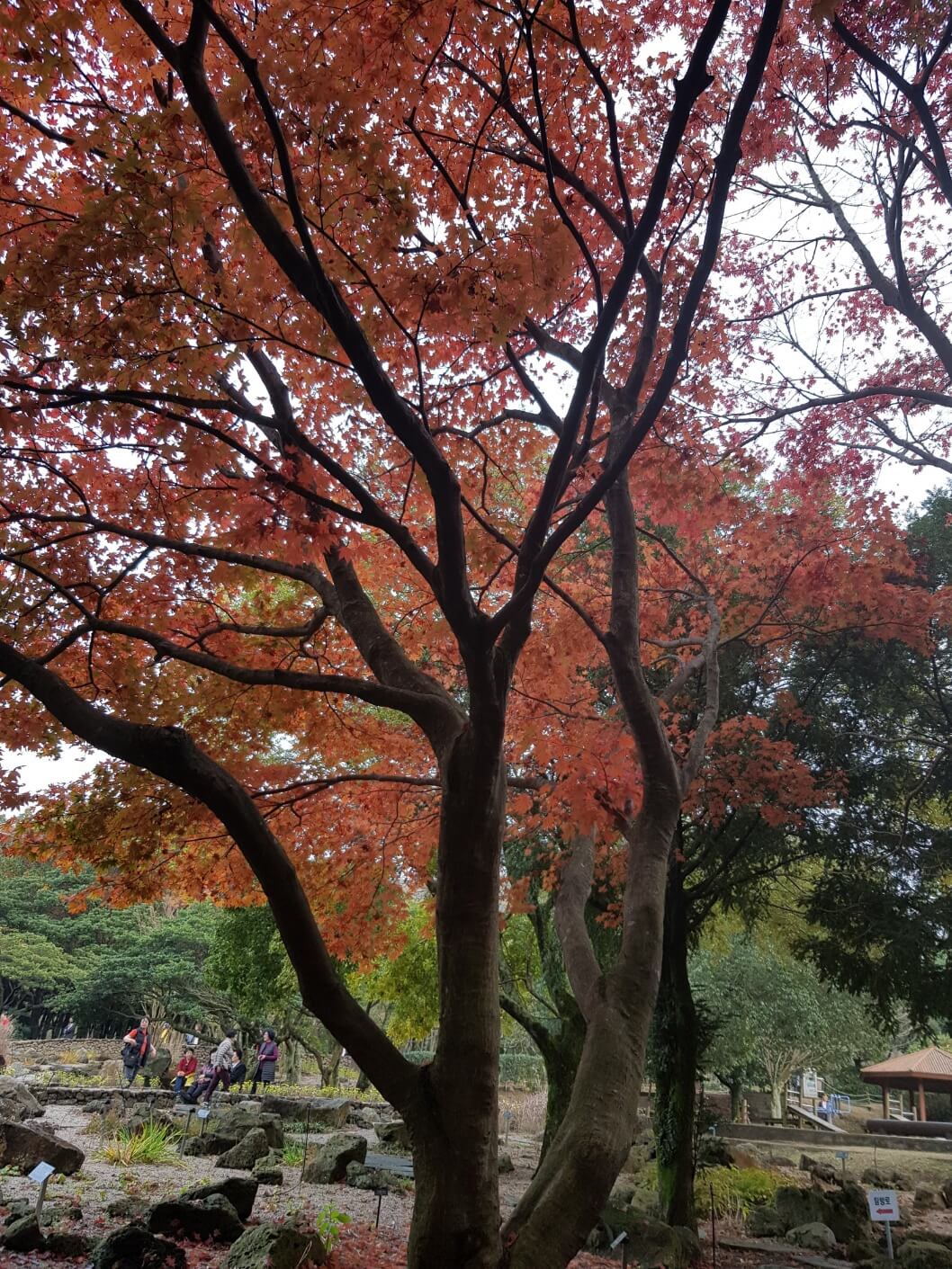 2025년 여성 장애인 활동지원사 되는 법&amp;#44; 조건부터 신청까지