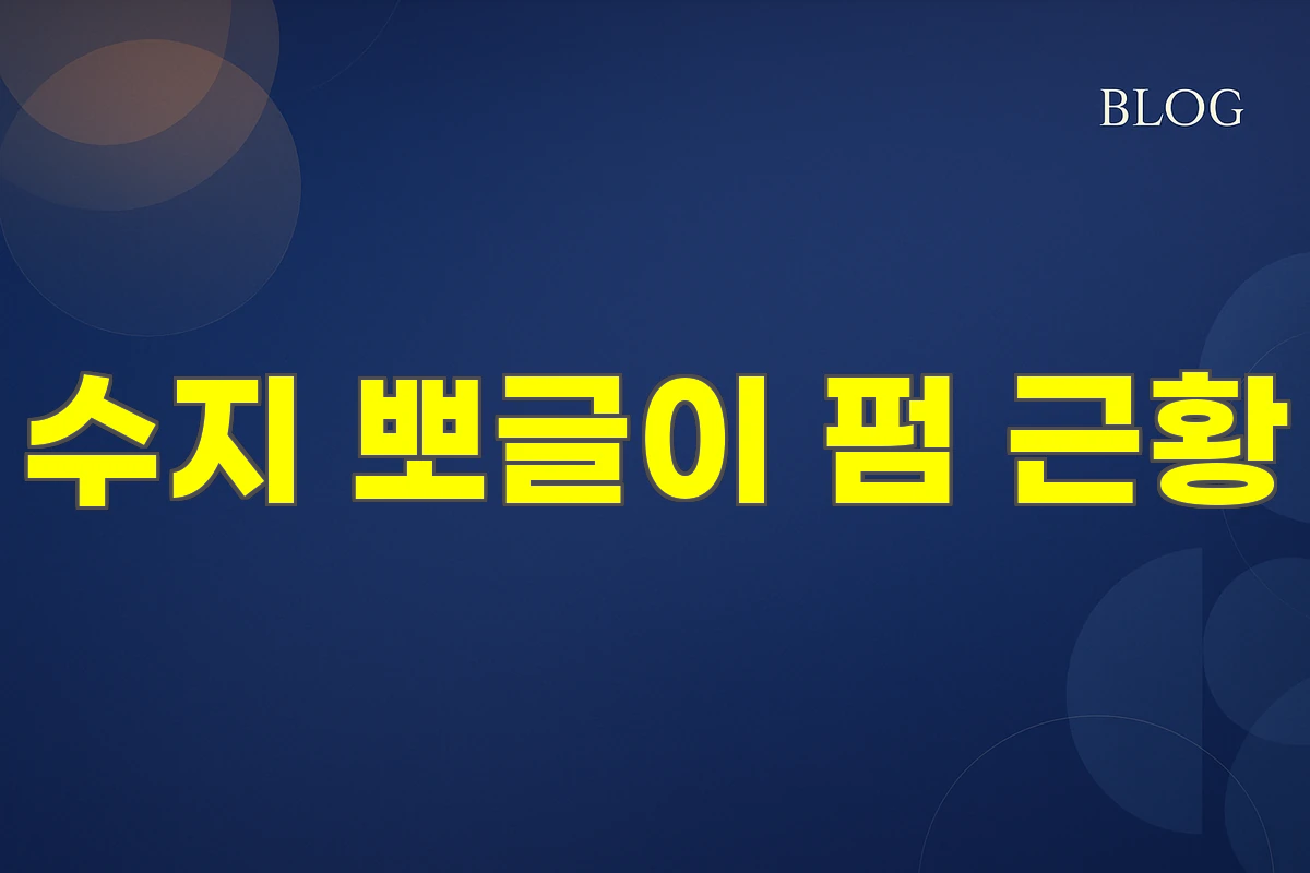 수지 뽀글이 펌 근황