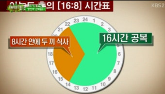 휴가 전 간헐적 단식 2주 플랜