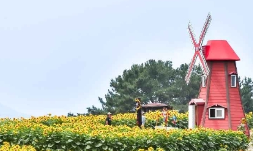 주차 정보, 함안 가볼만한 곳 총정리