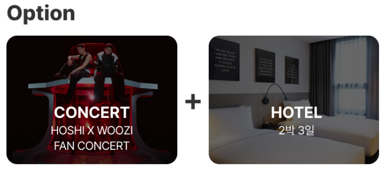 호시 우지 콘서트