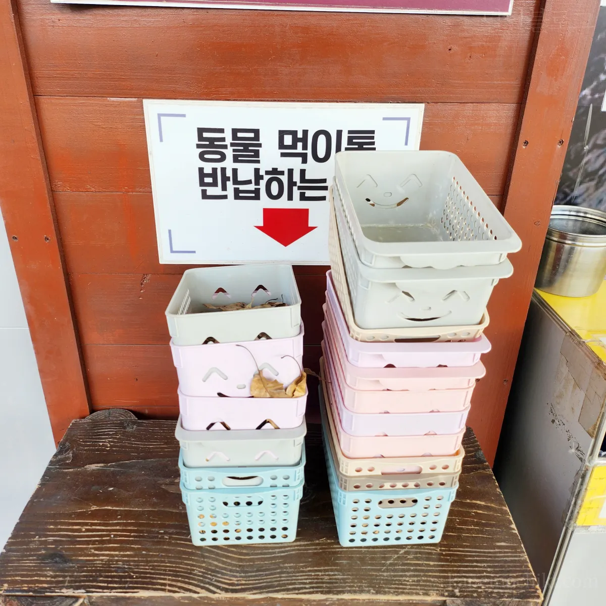 염소먹이