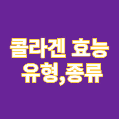 콜라겐 효능 유형,종류 글자