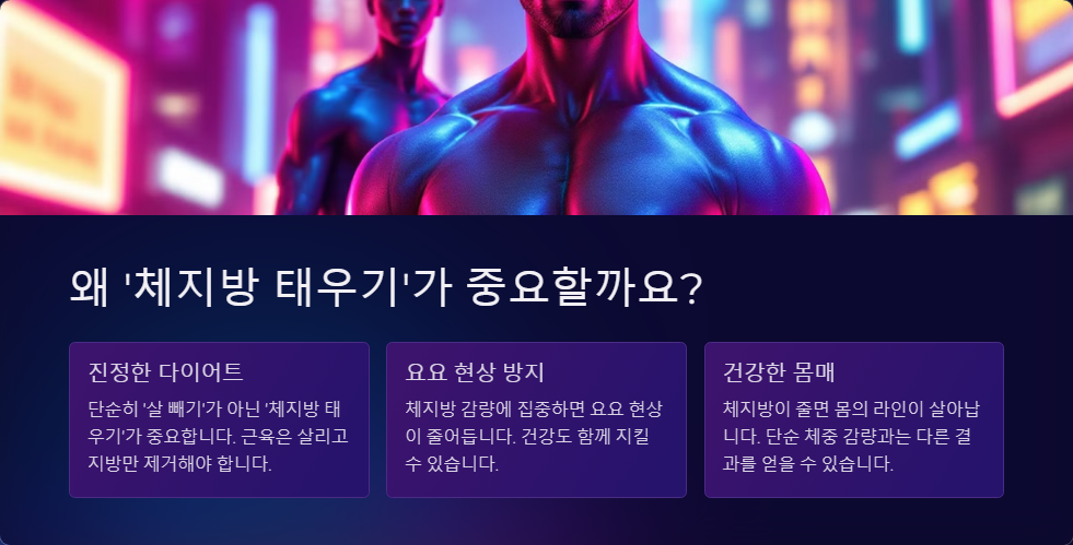 다이어트 운동 추천 체지방 태우는 최고의 루틴