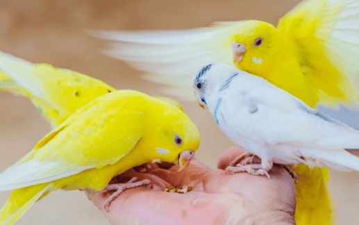 어린이날 가볼만한곳