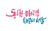 서울 디딤돌 소득