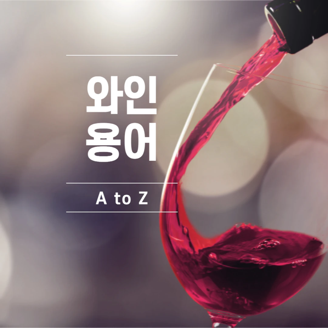 와인 용어 사전, 필수 용어 모음 (A-Z)