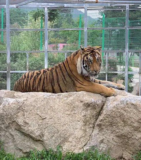 쥬쥬동산