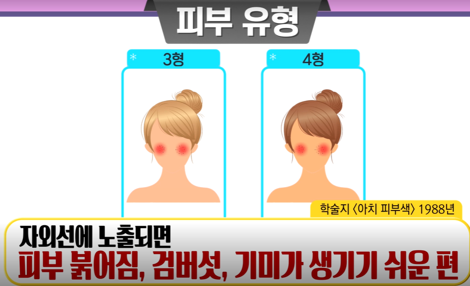 로즈마리추출물 효능