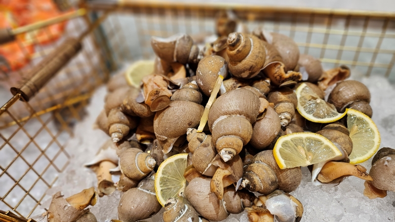 인스파이어 쉐프스키친14