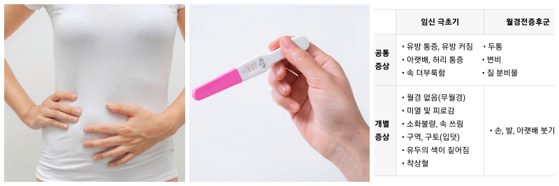 임신, 임신 테스트기, 임신 극초기증상 사진