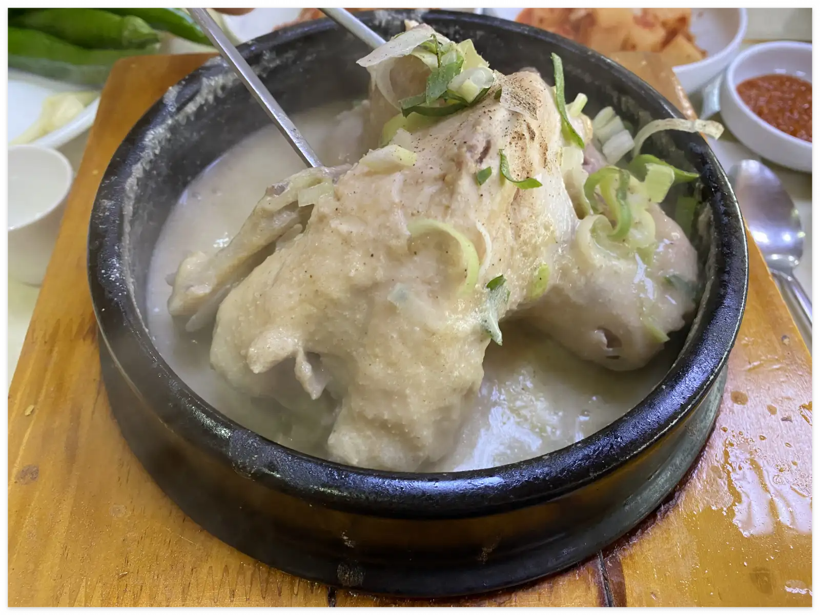 일산-삼계탕-맛집-장수토종삼계탕-삼계탕-닭-사이즈-강조-이미지