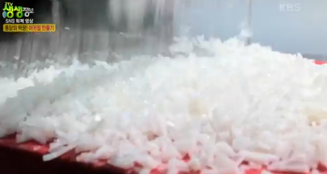 생생 정보통 맛집 맛의 비결