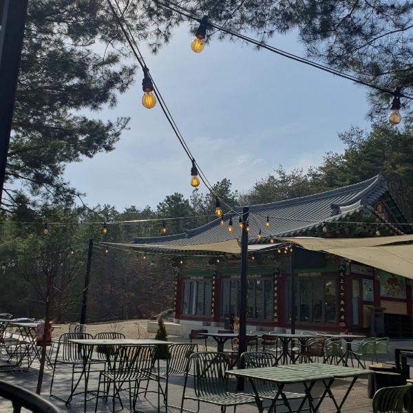 카페에서 바라보는 대웅전모습