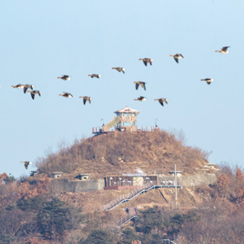 평화전망대