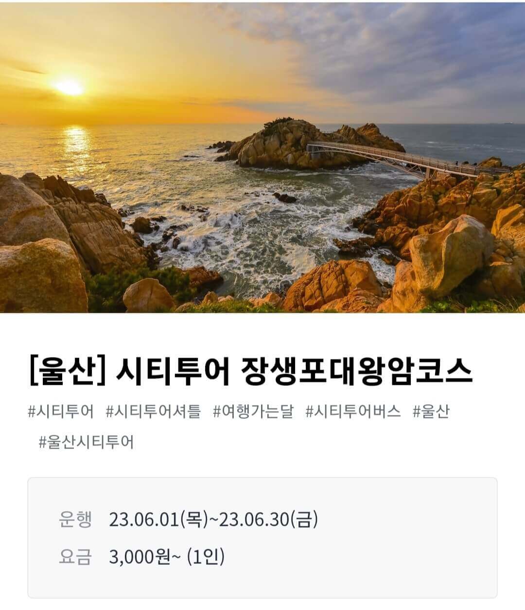 여행가는달 시티투어버스 할인