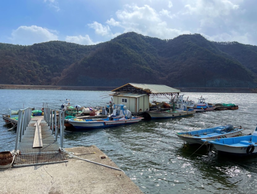 생생정보 미스터 Lee의 사진 한 컷, 대한민국 – 435번째 미션! 하동 섬진강 벚굴수산 주문하기