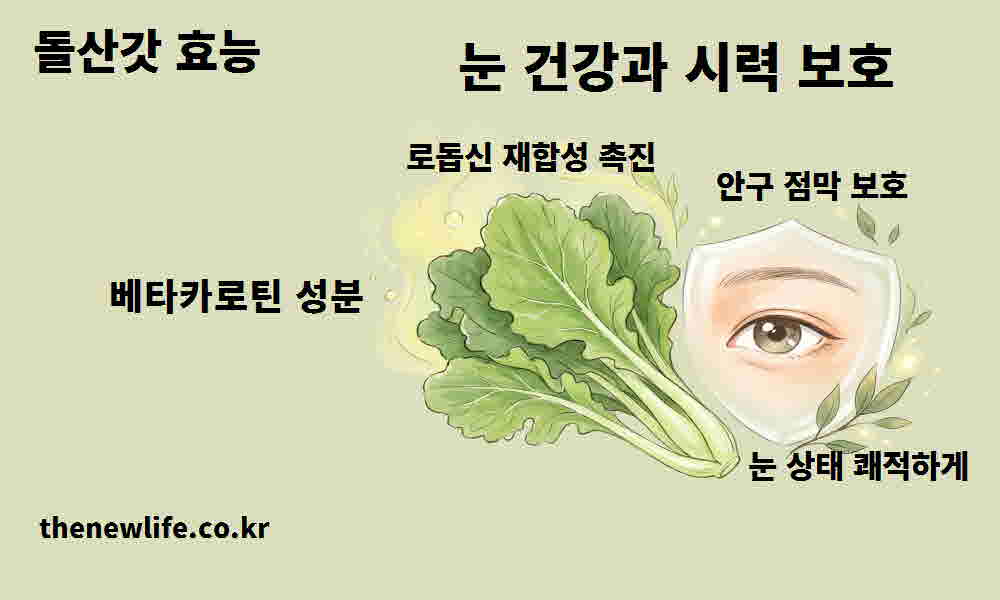 돌산갓 효능 눈 건강 시력 보호