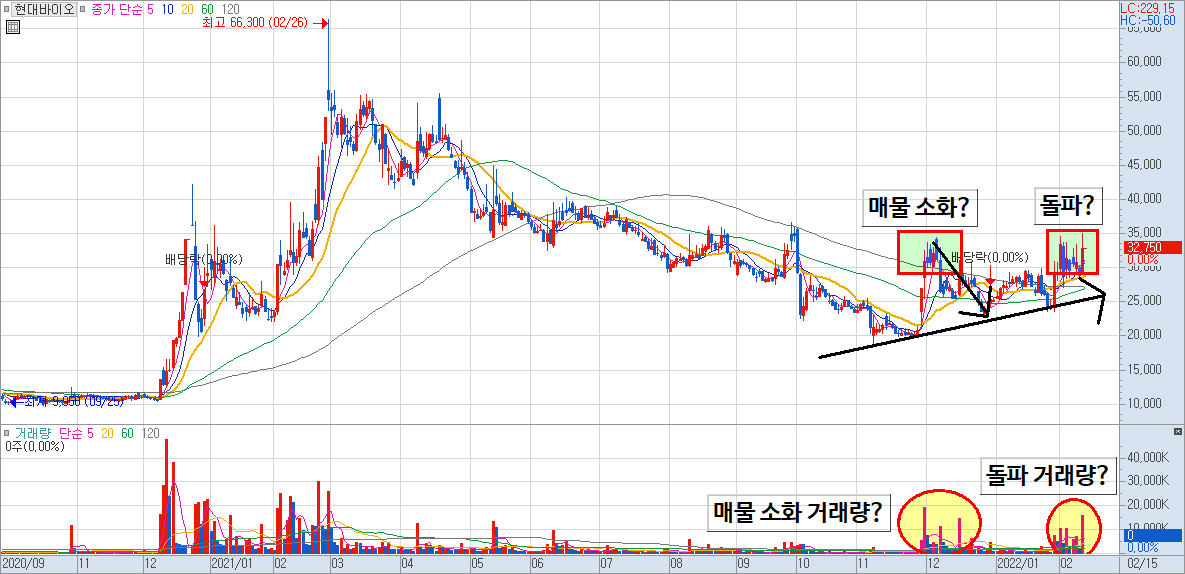 현대바이오 차트 예시 3)