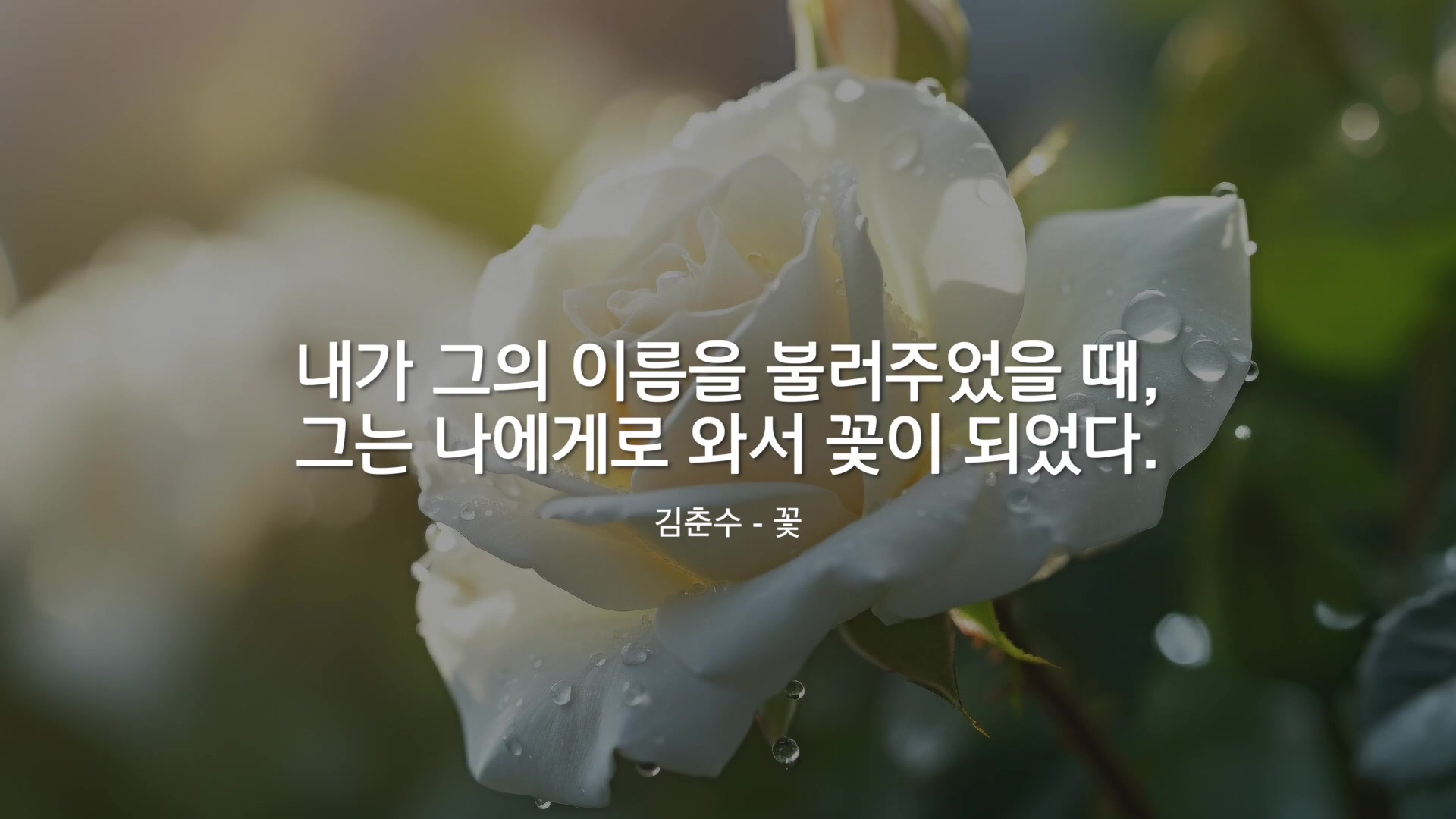 내가 그의 이름을 불러주었을 때, 그는 나에게로 와서 꽃이 되었다.