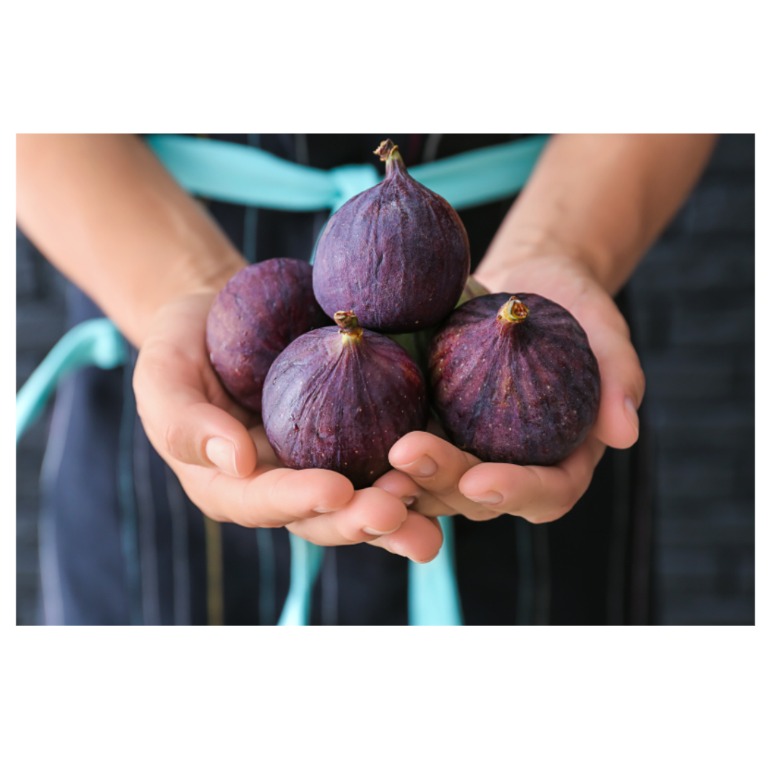 무화과와 관련된 사진입니다.