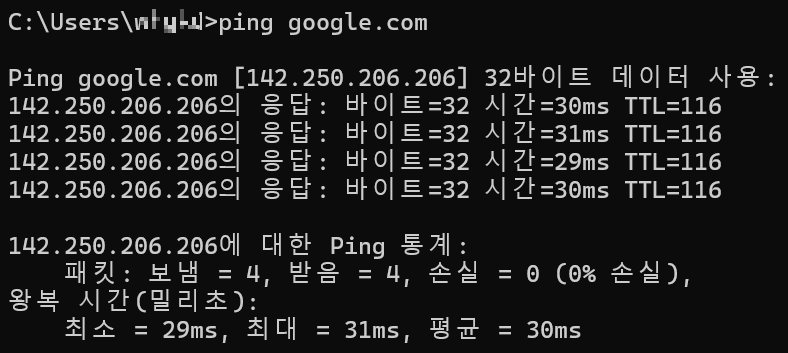 ping 테스트 사용방법