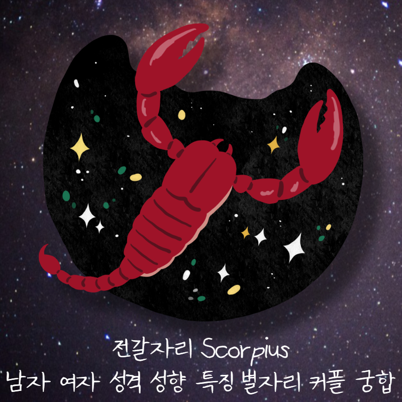 전갈자리 Scorpius 남자 여자 성격 성향 특징 별자리 커플 궁합