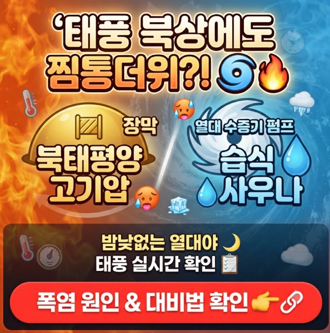 태풍과 무더위