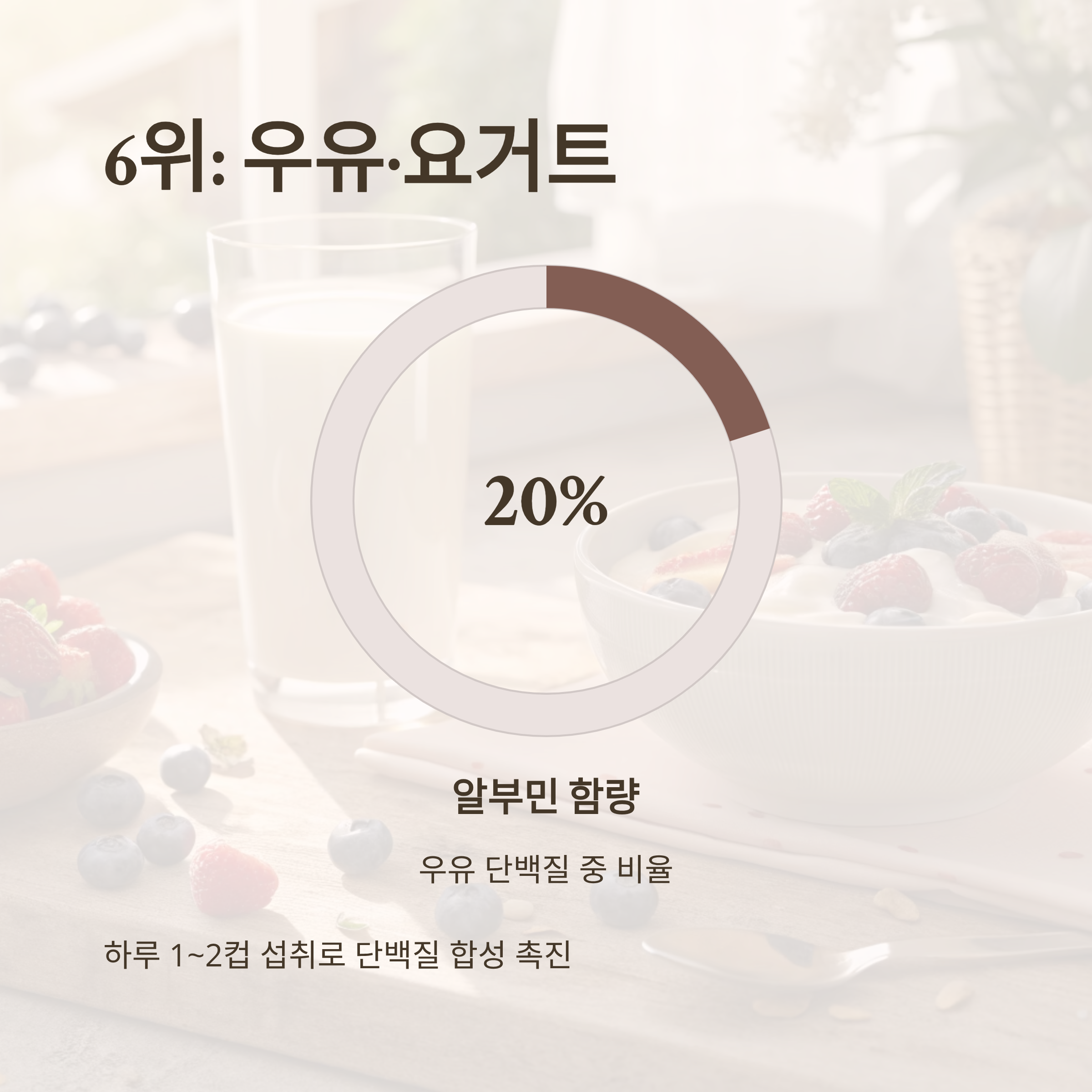 알부민 많은 음식 10가지|간 건강·면역력·부종 개선에 좋은 고단백 식단 총정리