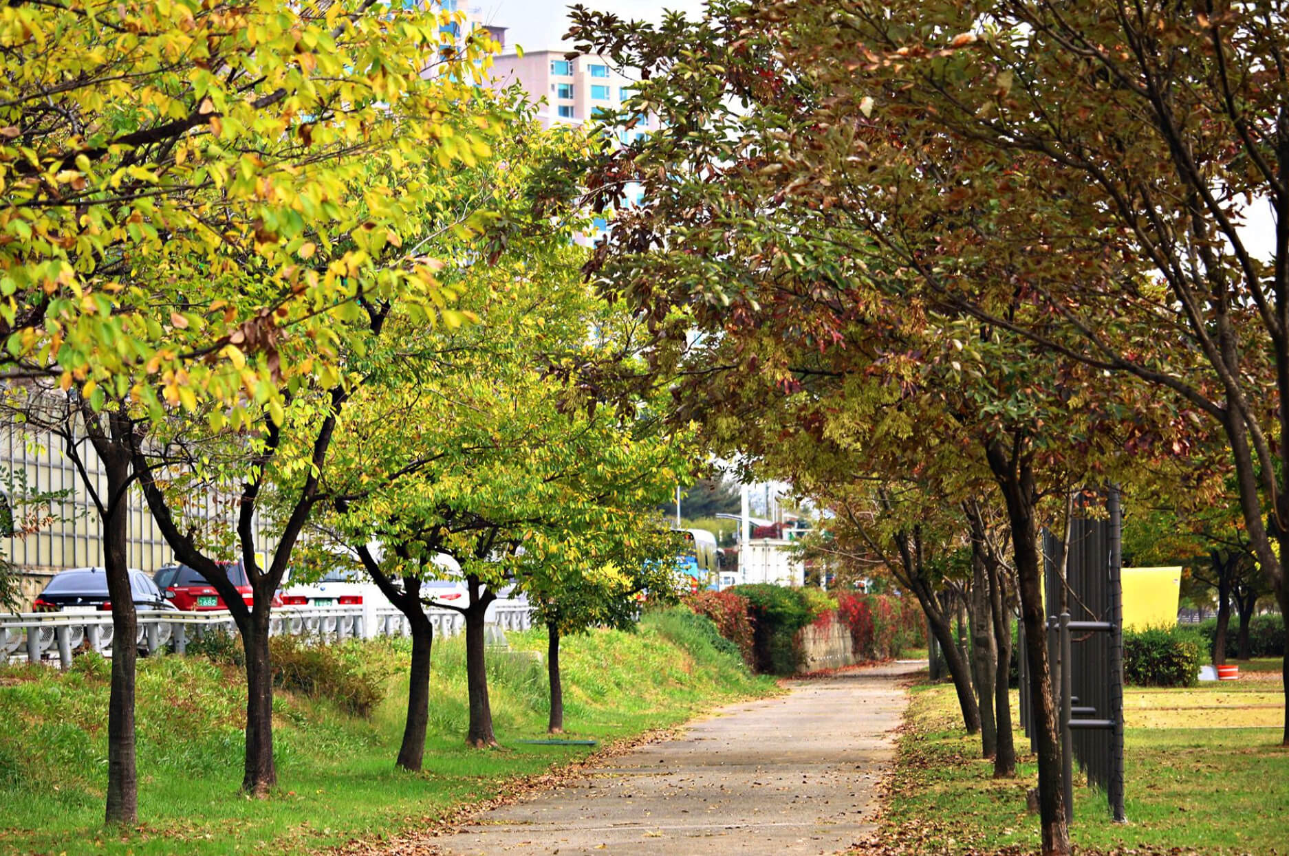 이촌 한강공원 코스1