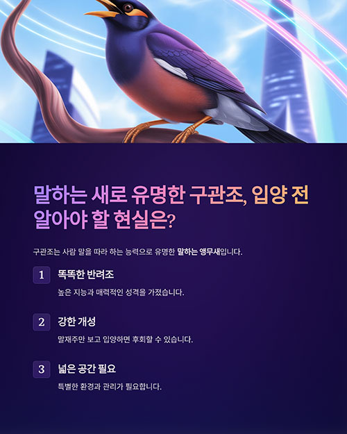 구관조 키우기 전 꼭 알아야 할 정보