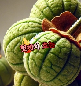 헛개수-헛개차-효능