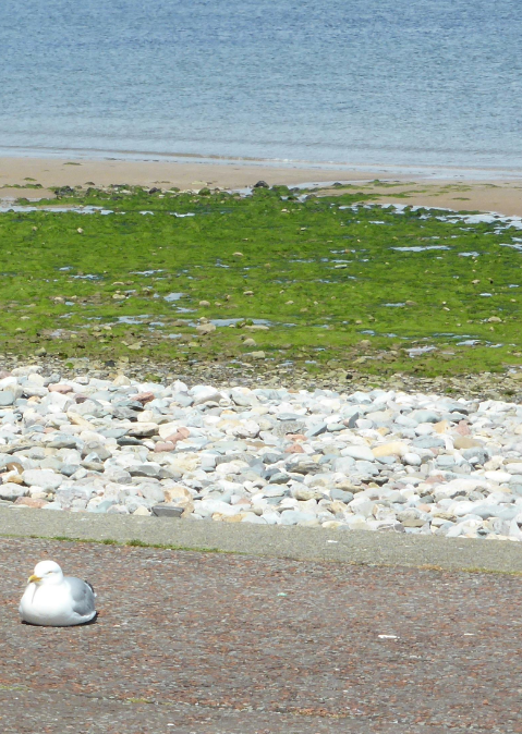 국민연금 신청하기 완결편 (수령나이,조기수령,예상수령액조회)