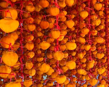 지리산 산청곶감축제