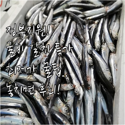 정부 지원 추석 수산대전: 굴비, 갈..